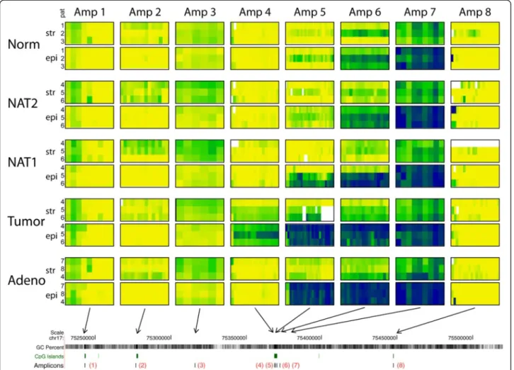 Figure 3 Bisulfite DNA sequencing results for SEPT9 amplicons. Each column displays results from one amplicon and each row displays results for one cell type