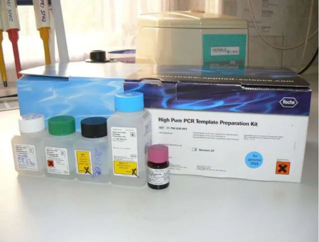 2. ábra: A DNS izolálására alkalmazott High Pure PCR Template Isolation  