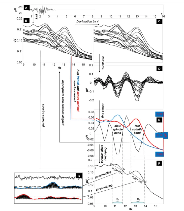 FIGURE 1 | The Individual Adjustment Method (IAM) of sleep spindle analysis. (A)Four-second EEG epoch Hanning-tapered and zero padded to 16 s.