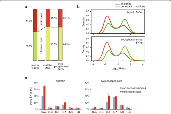 Fig. 5 Mutation density with respect to gene transcription. a The proportion of genomic regions classified as intergenic (green) or genic (red) based on Ensembl genome annotation, shown on the left, differs from the proportion of cisplatin or cyclophospham