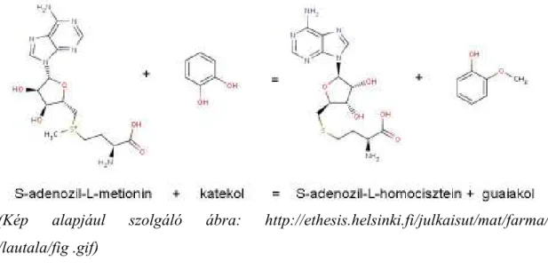 6. Ábra: A Catechol O-methyltransferase által katalizált reakció 