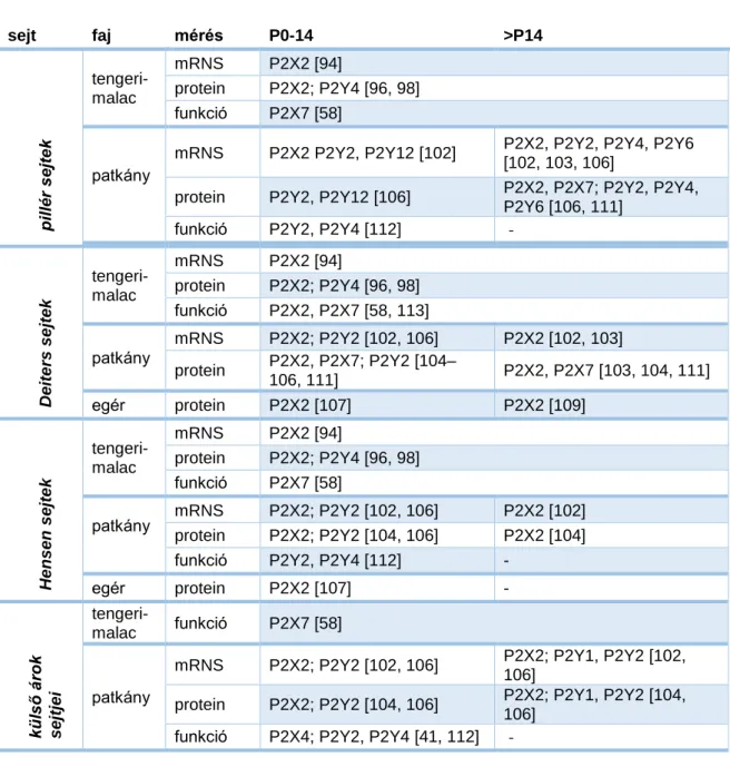 1. táblázat (folytatás)  Deiters sejtek tengeri-malac  mRNS  P2X2 [94] protein  P2X2; P2Y4 [96, 98] funkció  P2X2, P2X7 [58, 113] patkány mRNS  P2X2; P2Y2 [102, 106]  P2X2 [102, 103] protein P2X2, P2X7; P2Y2 [104–106, 111]   P2X2, P2X7 [103, 104, 111]  egé