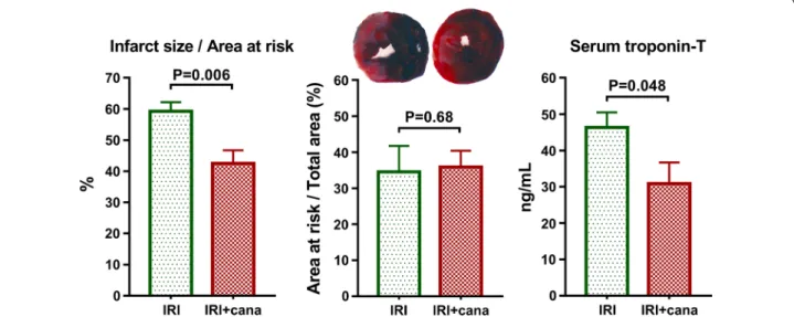 Fig. 2  In vivo left ventricular (LV) pressure–volume (PV) analysis. a Heart rate values