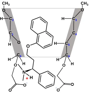 Figure 6. The proposed structure for Dpx/ODMCM-γ-CD complex based on 2D ROESY NMR measurement at  pH 7.0  C 3C4C5C6C2C1HHOOHHHOH O CH 3CH3-OON+HC6HOHO