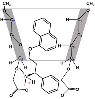 6. ábra. A Dpx/ODMCM-γ-CD komplex feltételezett szerkezete a 2D ROESY NMR mérések alapján, pH 7,0  értéken  C 3C4C5C6C2C1HHOOHHHOH O CH 3CH3-OON+HC6HOHO