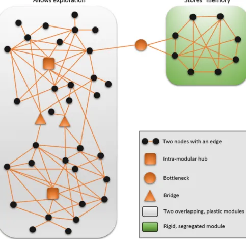 Fig. 2. Examples of key structural segments participating in network adaptation. The ﬁgure illustrates a few key structural network segments, which often play a key role in the adaptation of complex systems