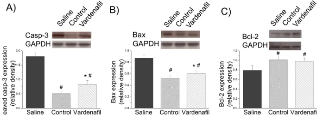 Figure 4. The effects of vardena ﬁ l in in vitro ischaemia e reperfusion on protein expression of (A) cleaved caspase-3 (casp-3), (B) Bax, and (C) Bcl-2 in isolated aortic rings (n ¼ 6 per group)