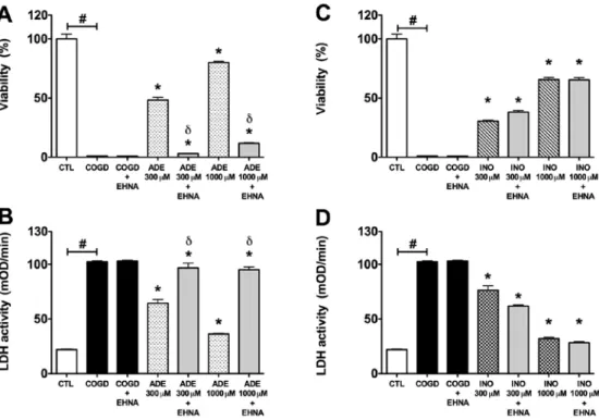 Figure 5. Effect of adenosine deaminase inhibitor (EHNA) on the cytoprotective action of 300-1,000 µM adenosine (ADE) and inosine (INO) in HepG2  cultures exposed to a 14 h-long hypoxia period and a subsequent 4 h re-oxygenation