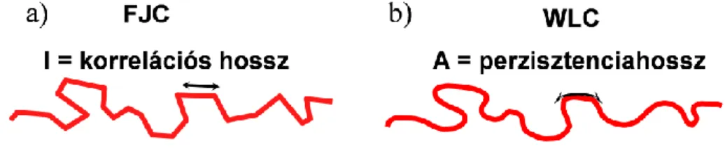 6. ábra: Ugyanaz a polimer FJC és WLC modellekkel. 
