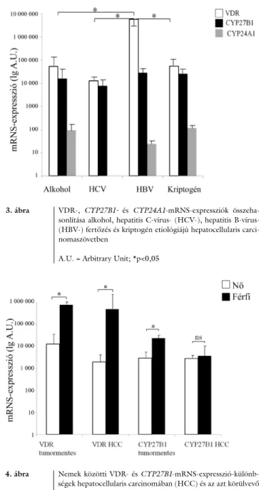 1. ábra VDR-, CYP27B1- és CYP24A1-mRNS-expresszió összehason- összehason-lítása hepatocellularis carcinomában a környező tumormentes  májszövettel
