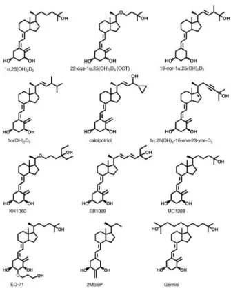 5. ábra: D-vitamin analógok (Brown nyomán (142). 