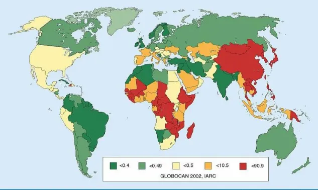 1. ábra: HCC incidencia világviszonylatban 