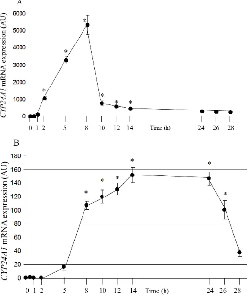 Figure  4.  CYP24A1  mRNA  time  course  curves  of  HepG2  (A)  and  Huh-Neo  (B)  cell  lines  in  response  to  1,25-dihydroxyvitamin  [1,25(OH) 2 D 3 ]