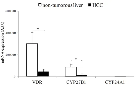 Figure 5. Comparison of VDR, CYP27B1, and CYP24A1 mRNA expression profile in  hepatocellular  carcinoma  (HCC)  with  surrounding  non-tumorous  liver  tissue  samples