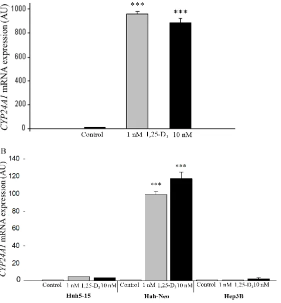 Figure  2.  CYP24A1  mRNA  expression  changes  in  response  to  1,25(OH) 2 D 3 .  HepG2  (A)  and  Huh-Neo  (B)  cell  lines  were  incubated  with  1  nmol/l  and  10  nmol/l  active  vitamin D for a duration of 5 hours