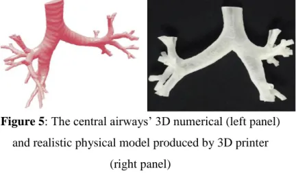 Figure 5: The central airways’ 3D numerical (left panel)  and realistic physical model produced by 3D printer 
