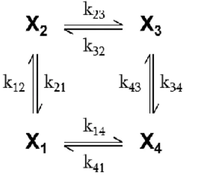 15. ábra: Egyszerű ciklikus modell.  X i  jelöli a receptor állapotait,       a sebességi állandókat