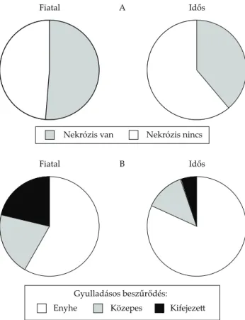 4. ábra. A) A fi  atal betegek tumoraiban nagyobb arányban volt jelen  a daganatban nekrózis (50,98% vs