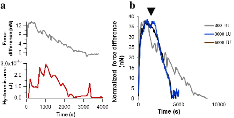 Fig. 4. Time-dependent evolution of force difference and  dissipated energy values in a sample treated with 300 IU  STK  (a)