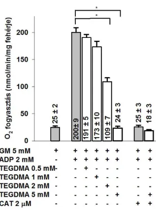 6. ábra: A TEGDMA hatása az izolált agyi mitokondriumok O 2  fogyasztására glutamát  plusz  malát  (GM)  légzési  szubsztrát  jelenlétében