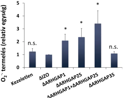 29. ábra: Az immundepléciók hatása a NADPH-oxidáz O 2 •- -termelésére. Az ARHGAP1 és az  ARHGAP25 izolált immundepléciója számottevően növelte a termelt O 2 •-  mennyiségét