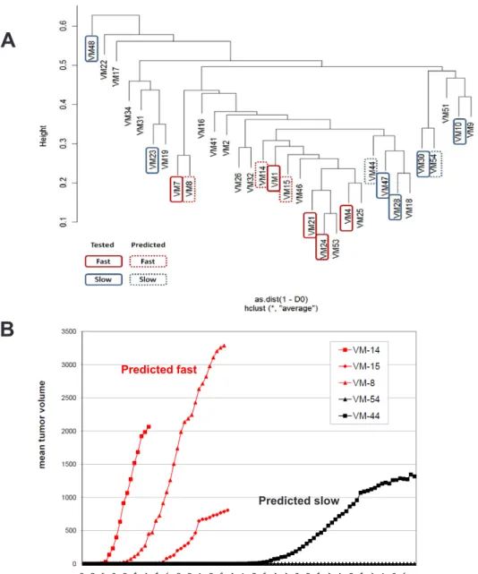 Figure 4: Genomic alterations allow prediction of local growth aggressiveness of human melanoma models in immuno- immuno-compromised mice