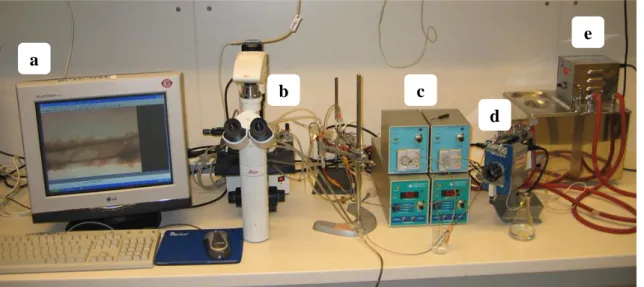 3. ÁBRA Az izolált mikroereknél alkalmazott kísérleti összeállítás. A: arteriola képe a  monitoron  (Leica  Qwin  3.1  szoftver);  B:  videomikroszkóp  és  szervfürdő;  C: 