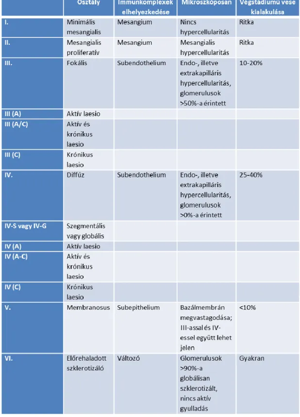 2. táblázat: A lupus nephritis szövettani klasszifikációja 