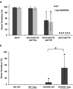 13. ábra: A HSP-90 csendesítése nem neuronális sejtekben nem befolyásolja a  dauer-lárva képződést vad típusú és daf-2 mutáns fonálférgekben