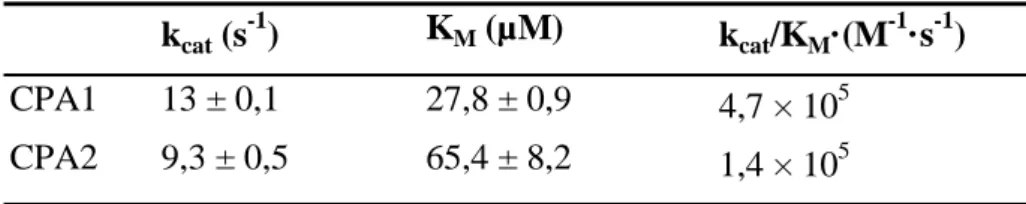 2. táblázat. A humán CPA1 és CPA2 kinetikai paraméterei. A CPA-aktivitást N-[4- N-[4-metoxifenilazoformil]-L-fenilalanin szubsztrát felhasználásával mértük 0,1 M  Tris-HCl-ot  (pH  8),  1  mM  CaCl 2 ,-ot  és  0,05%  Tween  20-at  tartalmazó,  100  μl  vég