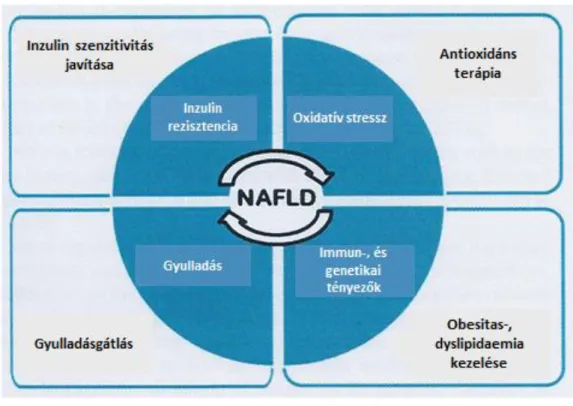 5. ábra: Az NAFLD és a NASH kezelése (Ibrahim és mtsai. 2013 alapján) 
