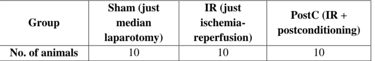 Table 1.: Groups of the 1st experiment. 