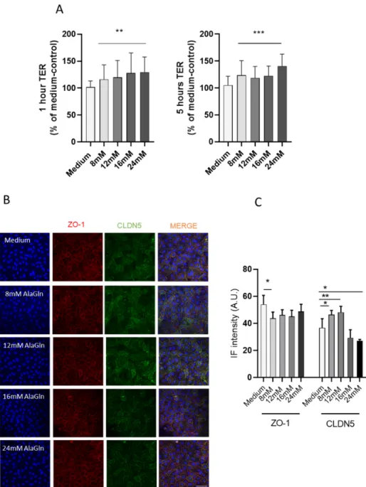 Figure  1.  (A)  Alanyl-glutamine  (AlaGln)  dose-dependently  increased  transendothelial  resistance  (TER) in human umbilical vein endothelial cells (HUVEC) incubated with cell medium (ANOVA p &lt; 