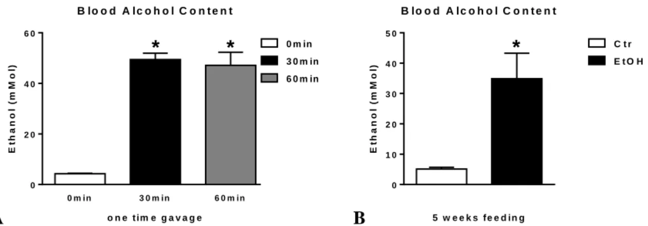 Figure  7.  Serum  alcohol  content  in  alcohol-fed  mice.  Wild  type  (WT; n=6  or  7)  mice  were  fed  with  ethanol  (EtOH)  or  isocaloric  (Ctr)  diet  for  5  weeks,  or  had  a  single  oral  gavage  of  50%  5g/kg  ethanol  (WT; n=6) where blood