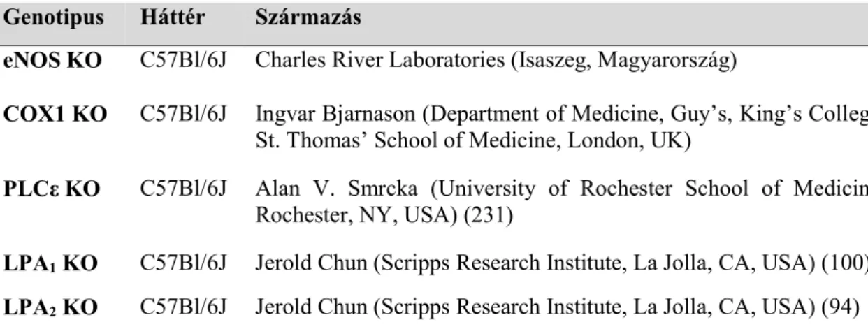 3. táblázat Jelen dolgozathoz felhasznált genetikailag módosított egértörzsek  Genotipus  Háttér  Származás 