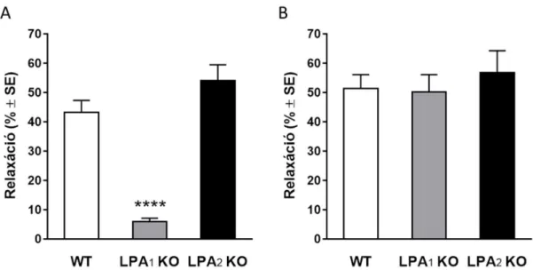 13. ábra Az LPA okozta relaxáció LPA receptor KO egerekből preparált aortában. 