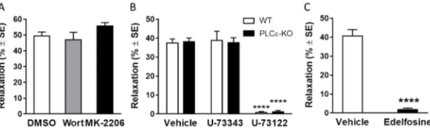 Figure 6 Vasorleaxing effect of LPA is mediated by the PLC pathway  LPA 1   is  known  to  activate  inositol  trisphosphate  (IP 3 )  production  and  the  ensuing  elevation  of  intracellular  Ca 2+   can  activate  eNOS