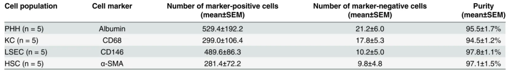 Table 1. Quantitative analysis of the purities of cultured cell populations.