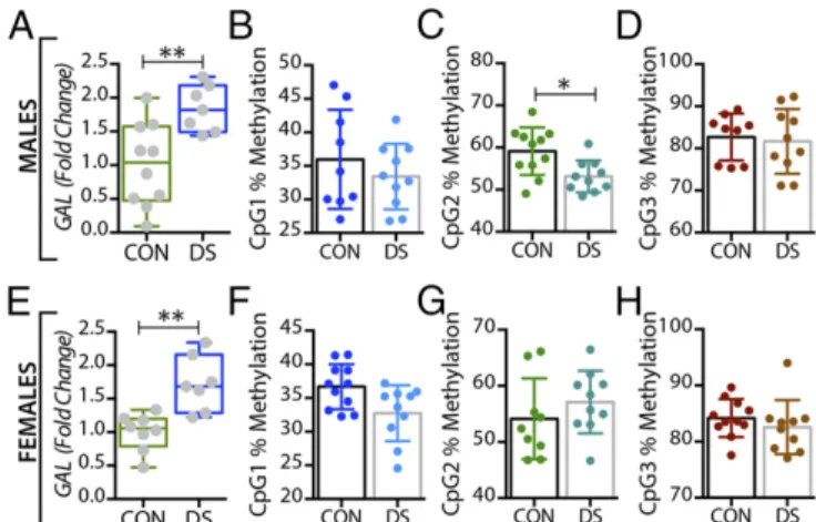 Fig. 4. Alterations in GAL gene expression and DNA methylation in the locus coeruleus of male and female DS subjects