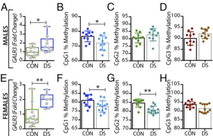 Fig. 6. Alterations in GALR3 gene expression and DNA methylation in the locus coeruleus of male and female DS subjects