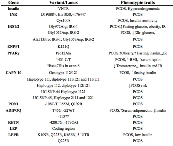 Table 2 .:  Gene  variants related to insulin resistance  in PCOS. INR: insulin receptor, IRS1/2:   insulin  receptor  substrate  1-2,  ENPP1:  Ectoenzyme  nucleotide  pyrophosphate  phosphodiesterase(PC-1)  gene,  PPARγ: Peroxisome  proliferator  activate