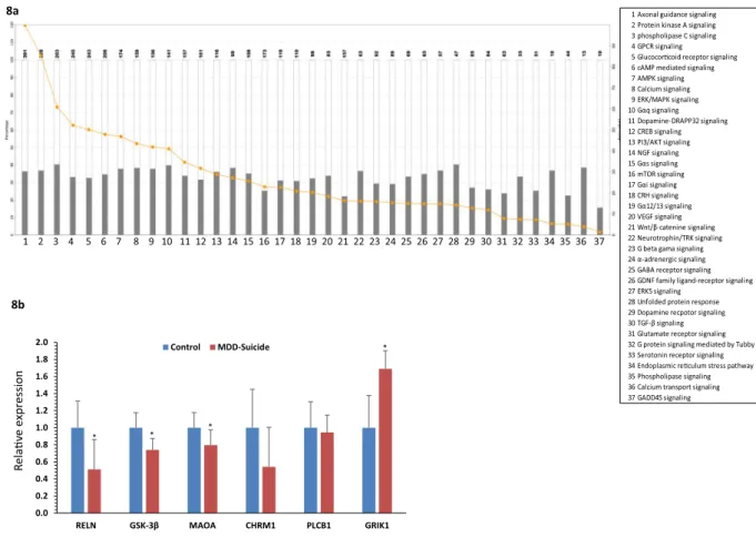 Figure 8.  Relating functional disorders with dysregulated miRNAs based on predicted target genes and their  validation