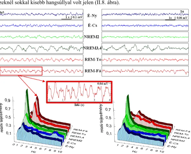 II.8. ábra. Példák foramen ovale elektródákból (bal oldali görbék) és temporolaterális skalp  elektródákból (jobb oldal) származó EEG-mintázatokra különböző alvás-ébrenlét állapotokban, a  hozzájuk tartozó átlagos spektrális görbékkel
