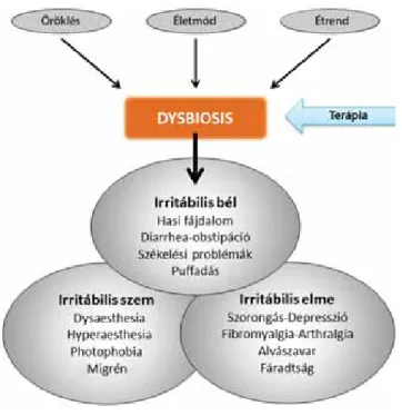 1. ábra Az irritábilis bél, irritábilis szem és irritábilis elme szindróma pa- pa-tomechanizmusa, tünetei és a kezelés támadáspontja