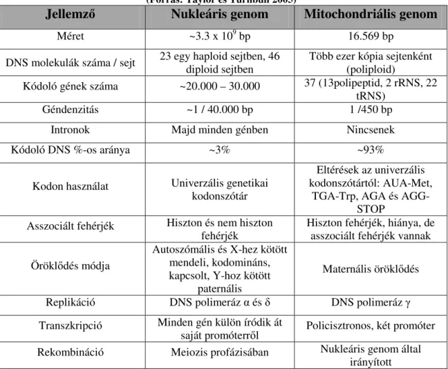 1. táblázat: A nukleáris és a mitochondriális genom összehasonlítása  
