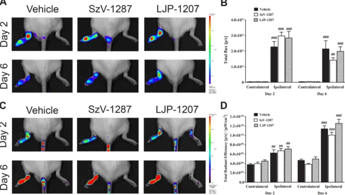 Figure 4.  SSAO inhibitors do not alter CFA-evoked neutrophil MPO-activity and plasma extravasation