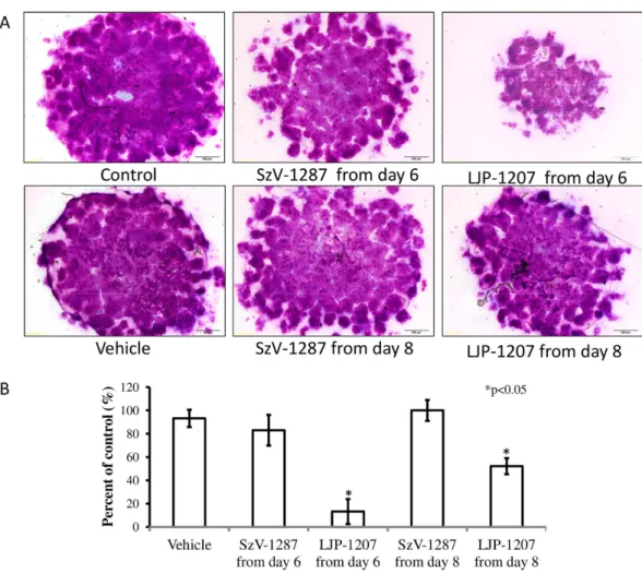 Figure 7.  Effects of SzV-1287 and LJP-1207 on matrix production of chondrocyte cultures