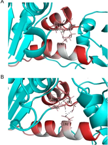 Figure 5 indicates that the two hinge points, Glu192 and Gly394, are included in the network, suggesting the remote binding of the substrates to perturb the force distribution at the hinges, a clear evidence of allostery