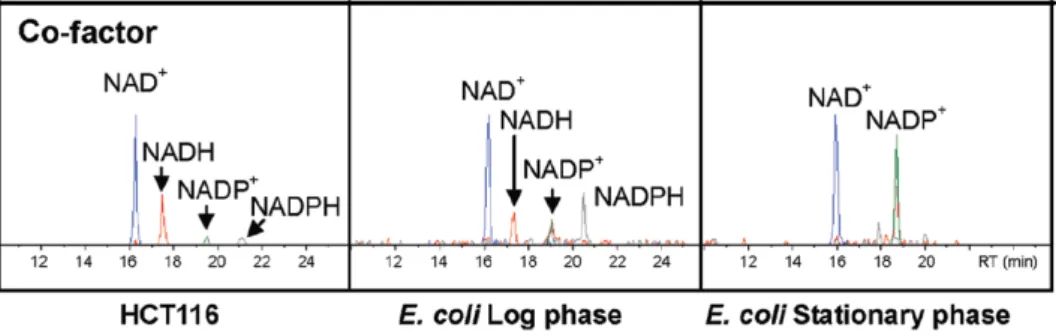Fig. 3 The MRM chromatograms obtained by using normal phase nanoflow liquid chromatography of pyridine dinucleotides  of human HCT116 cells, log phase E.coli and stationary phase E.coli cells [30].