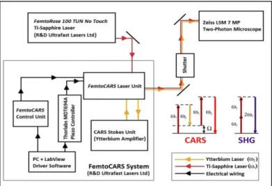 122. ábra A CARS mérőrendszer blokk diagramja. Az ábrán az SHG és CARS leképező rendszerek fő  komponenseit, egységeit és a lézerfény útvonalát ábrázoltuk